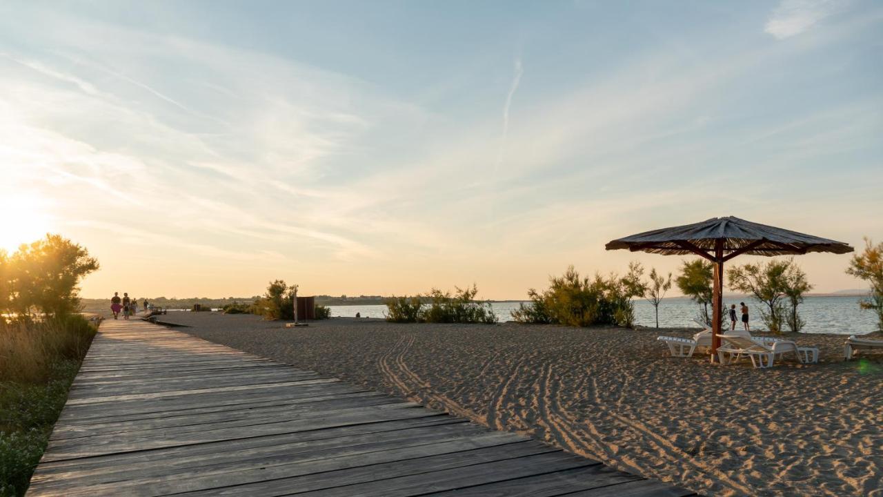 Villa Dea - Dein Rueckzugsort Am Meer Mit Beheiztem Pool Vrsi Exteriör bild